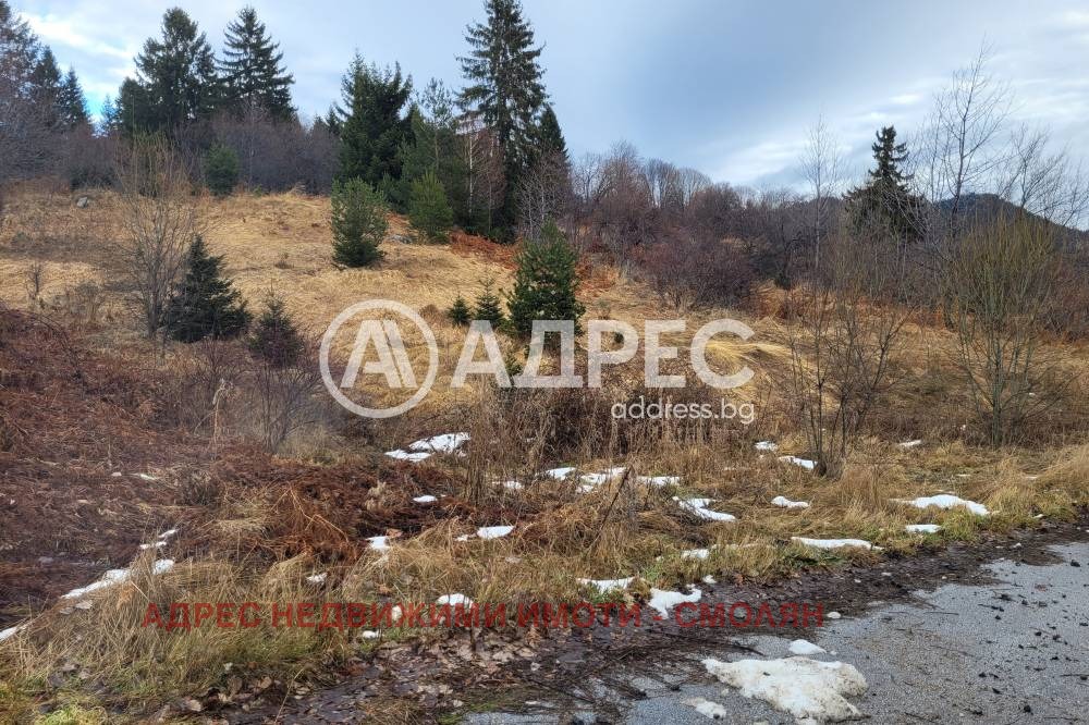 Продава ПАРЦЕЛ, к.к. Пампорово, област Смолян, снимка 6 - Парцели - 54558495