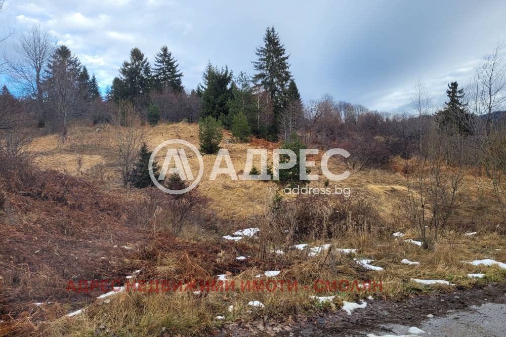 Продава ПАРЦЕЛ, к.к. Пампорово, област Смолян, снимка 5 - Парцели - 54558495
