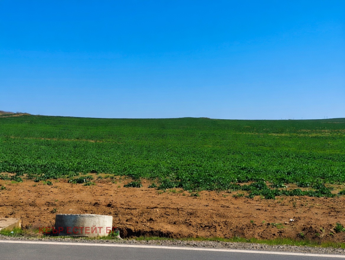Продава ЗЕМЕДЕЛСКА ЗЕМЯ, гр. Ахелой, област Бургас, снимка 4 - Земеделска земя - 53984359