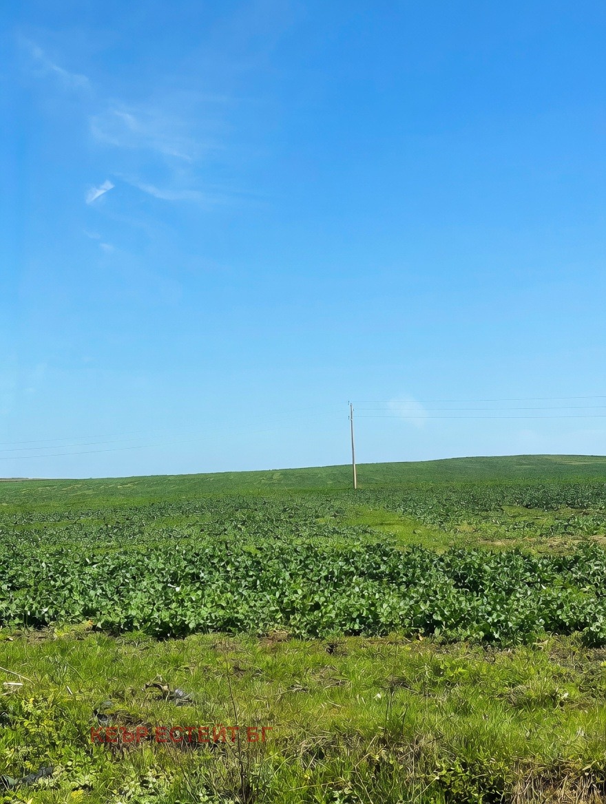 Продава ЗЕМЕДЕЛСКА ЗЕМЯ, гр. Ахелой, област Бургас, снимка 2 - Земеделска земя - 53984359