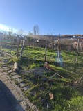 Продава ПАРЦЕЛ, с. Опълченско, област Кърджали, снимка 2