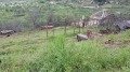 Продава ПАРЦЕЛ, с. Малка Верея, област Стара Загора, снимка 1