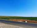 Продава ЗЕМЕДЕЛСКА ЗЕМЯ, гр. Ахелой, област Бургас, снимка 3