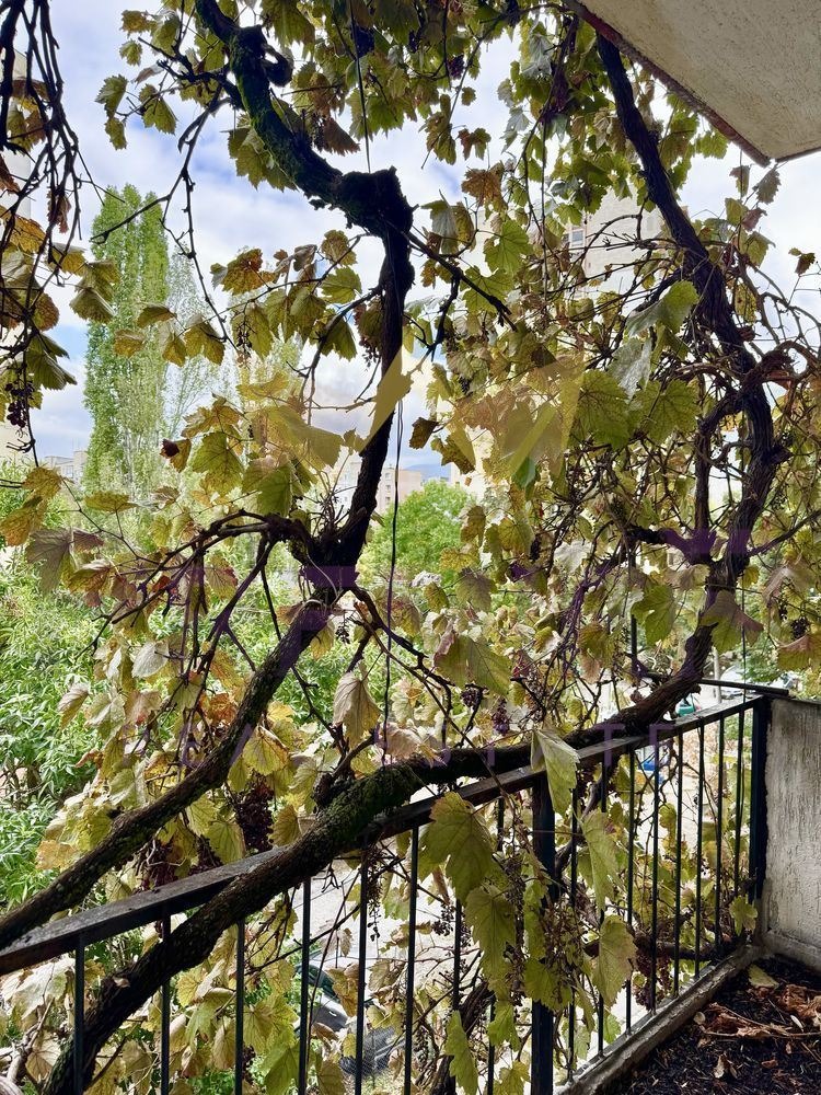 ������� 3-����� | Imot.bg � ����������� 7