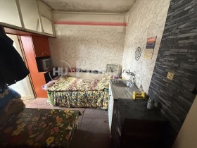 Studio Pogrebi, Warna