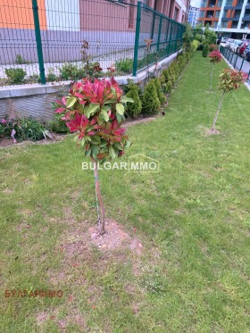  2- | Imot.bg    13