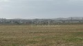 Продава ЗЕМЕДЕЛСКА ЗЕМЯ, гр. Ахелой, област Бургас, снимка 5 - Земеделска земя - 42837655