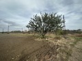 Продава ЗЕМЕДЕЛСКА ЗЕМЯ, гр. Ахелой, област Бургас, снимка 1 - Земеделска земя - 42837655