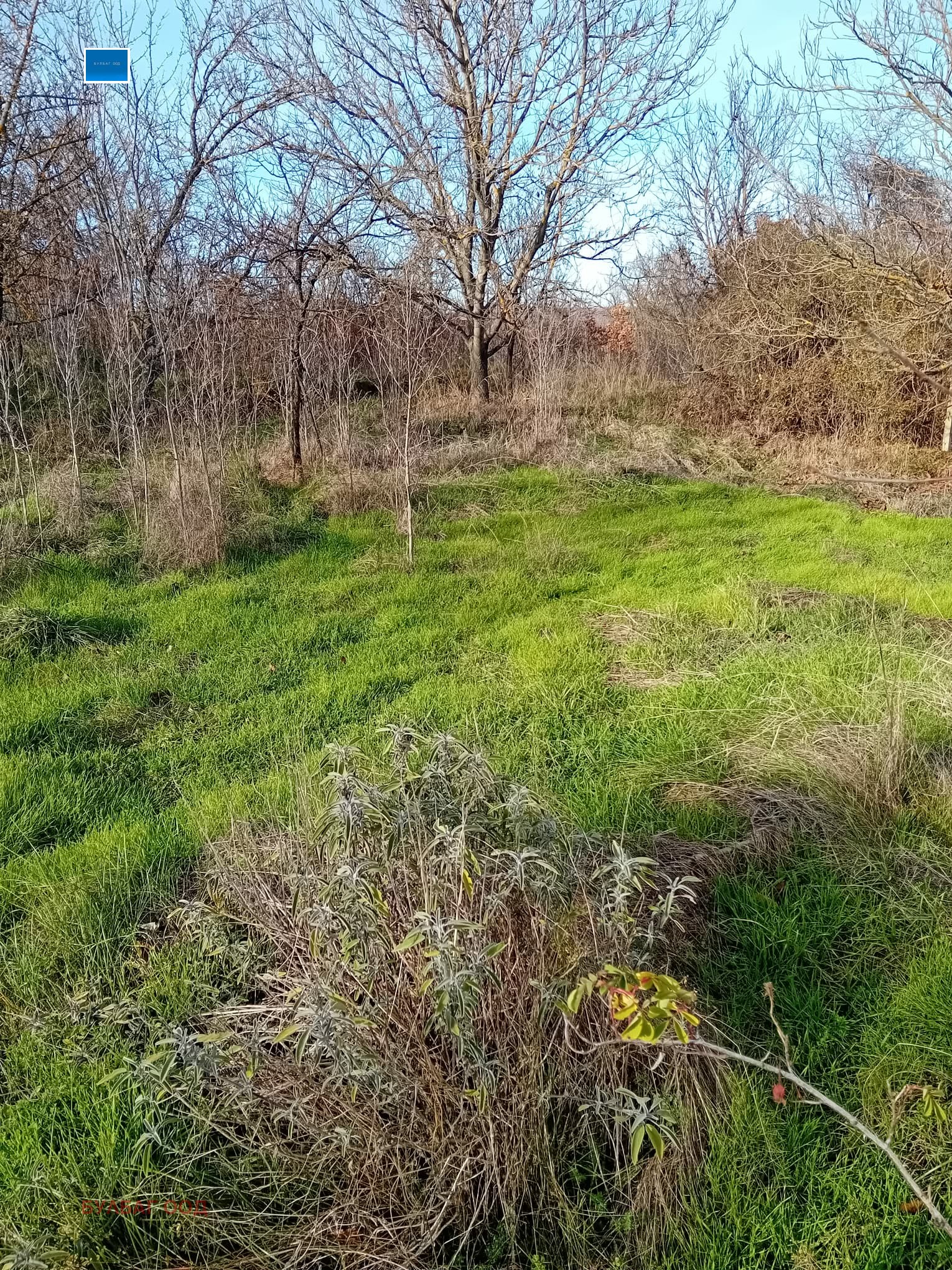 ������� ���� | Imot.bg � ����������� 13