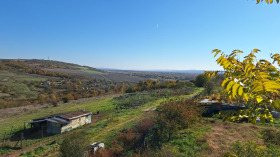 Hus Provadiya, region Varna 13