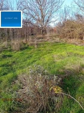 ������� ���� | Imot.bg � ����� ������ 13