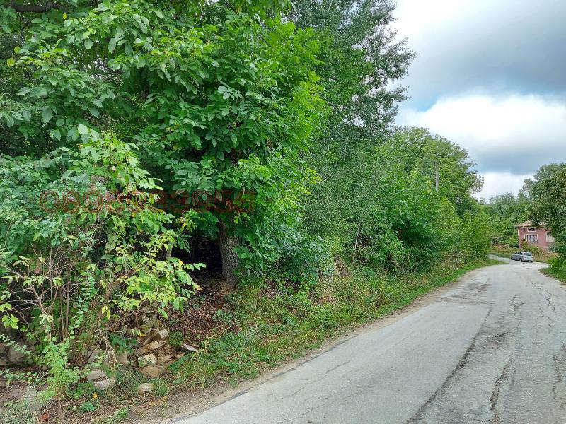 Продава ПАРЦЕЛ, с. Здравковец, област Габрово, снимка 9 - Парцели - 54160241