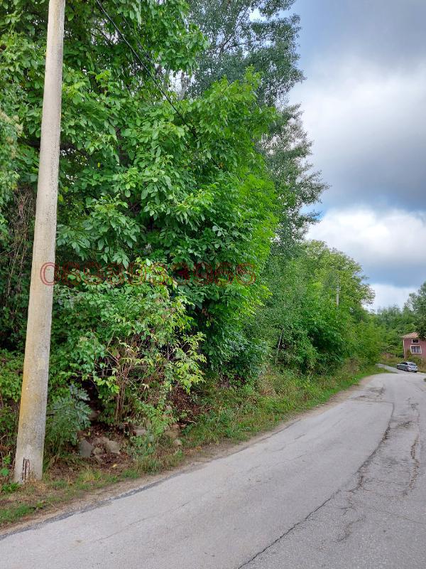 Продава ПАРЦЕЛ, с. Здравковец, област Габрово, снимка 8 - Парцели - 54160241