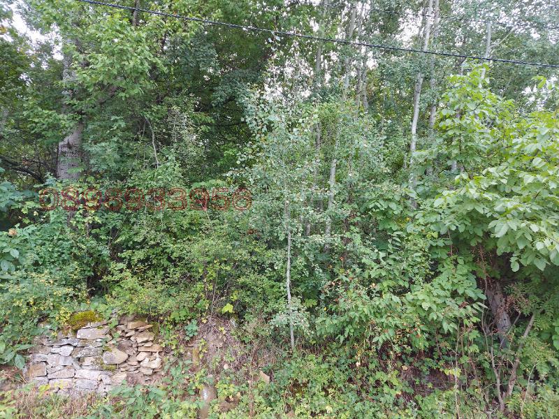 Продава ПАРЦЕЛ, с. Здравковец, област Габрово, снимка 6 - Парцели - 54160241