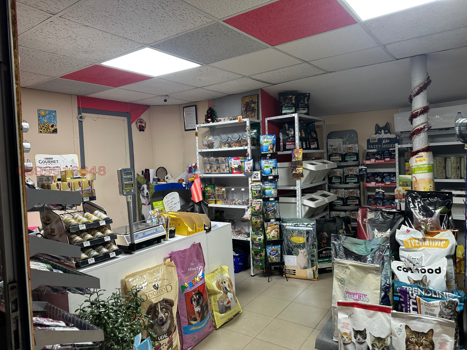 Продава БИЗНЕС ИМОТ, гр. Благоевград, Еленово 1, снимка 5 - Други - 53695830