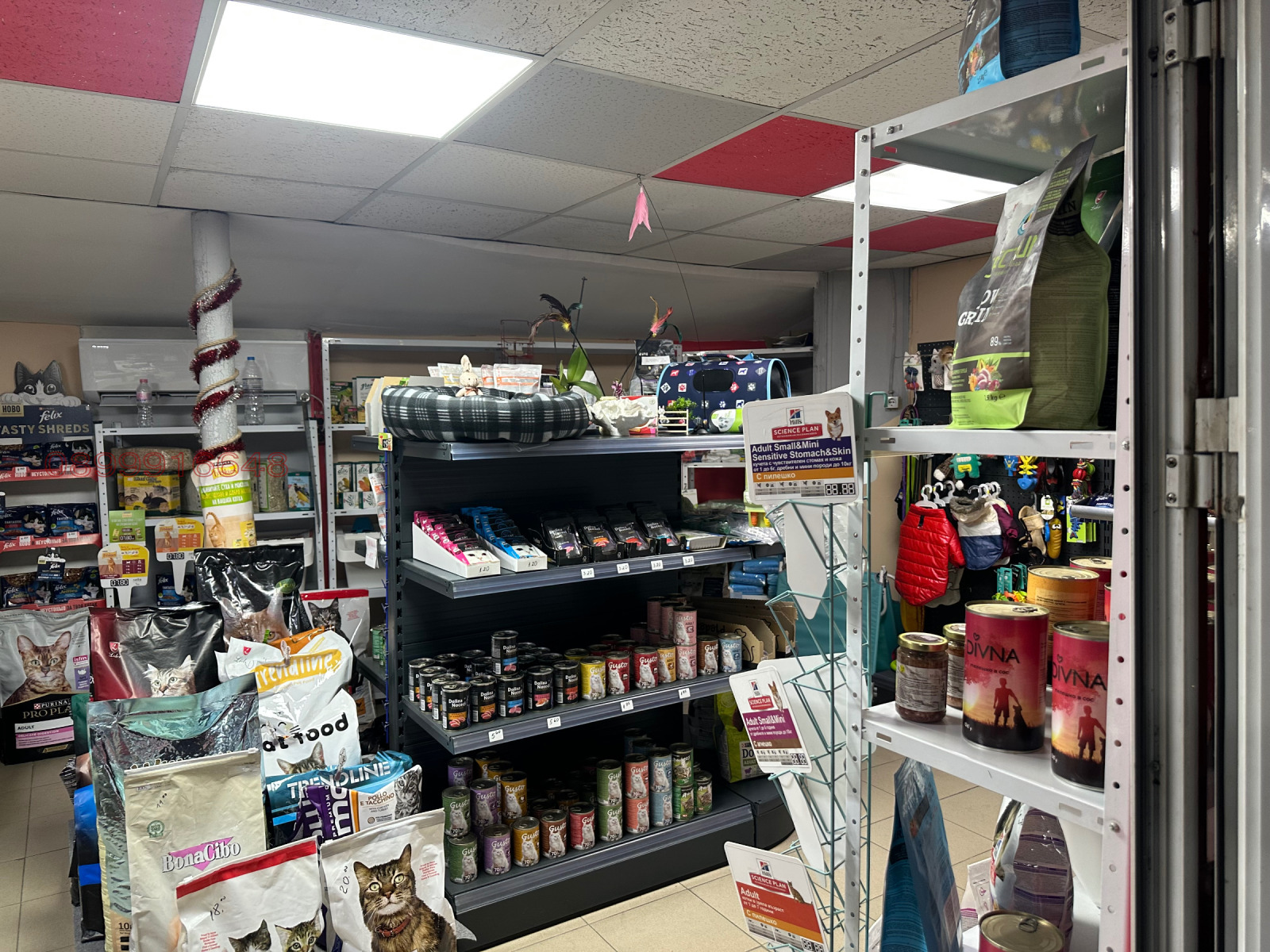 Продава БИЗНЕС ИМОТ, гр. Благоевград, Еленово 1, снимка 7 - Други - 53695830