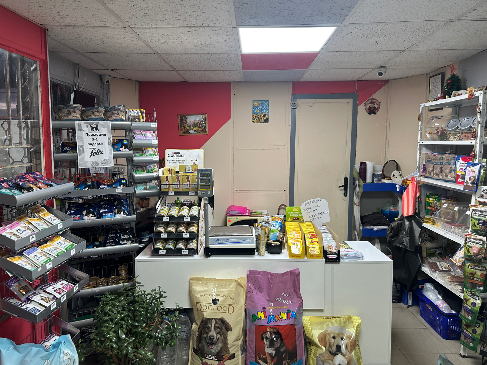 Продава БИЗНЕС ИМОТ, гр. Благоевград, Еленово 1, снимка 4 - Други - 53695830