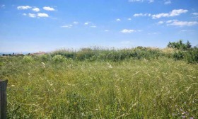 ������� ������ | Imot.bg � ����� ������ 17