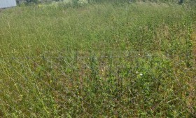 ������� ������ | Imot.bg � ����� ������ 11