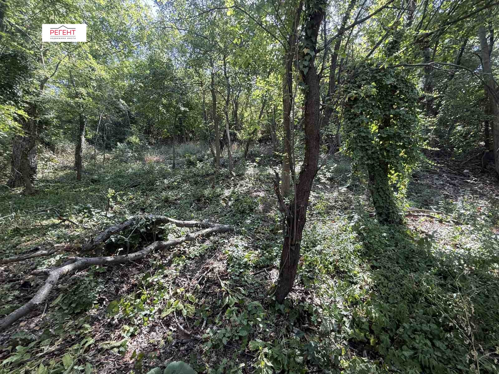 Продава ПАРЦЕЛ, гр. Габрово, Център, снимка 4 - Парцели - 55691763