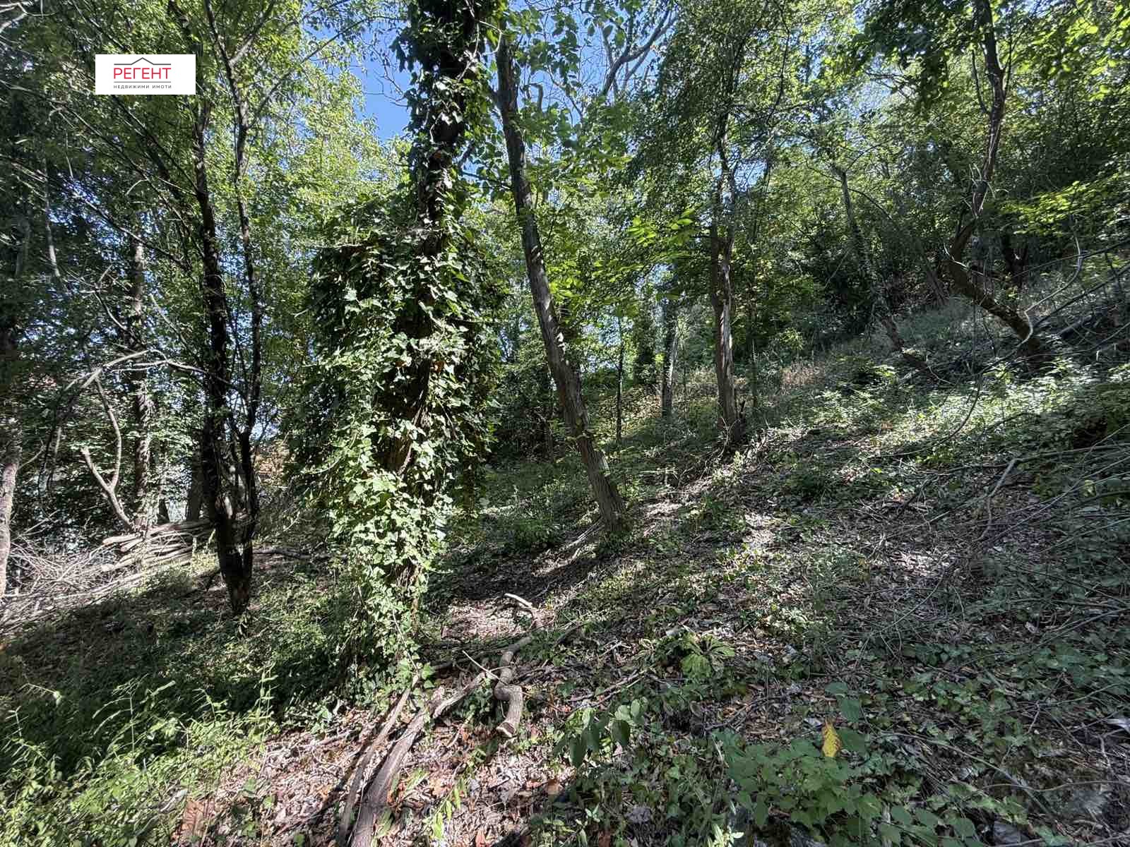 Продава ПАРЦЕЛ, гр. Габрово, Център, снимка 5 - Парцели - 55691763