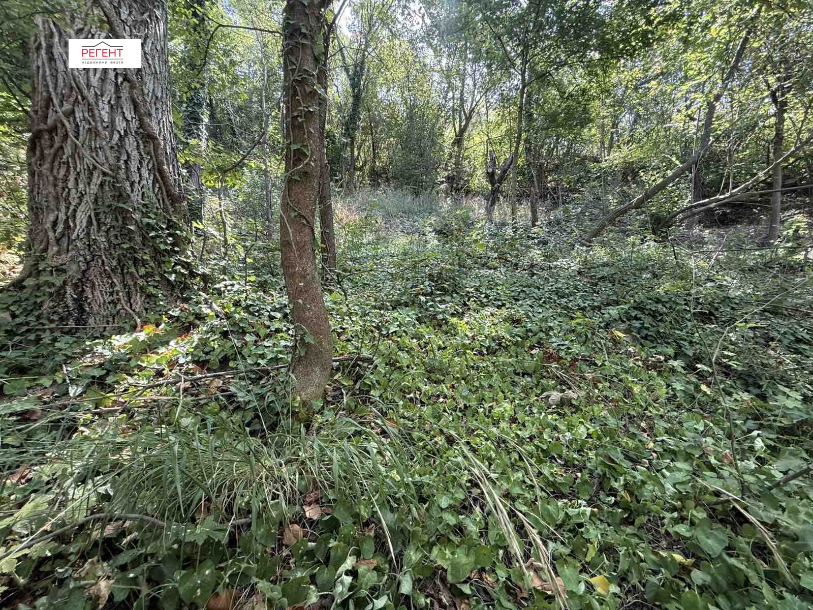 Продава ПАРЦЕЛ, гр. Габрово, Център, снимка 8 - Парцели - 55691763