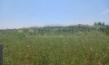 Продава ПАРЦЕЛ, Извън страната, област Извън страната, снимка 6