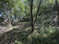 Продава ПАРЦЕЛ, гр. Габрово, Център, снимка 3