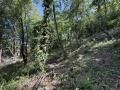 Продава ПАРЦЕЛ, гр. Габрово, Център, снимка 5