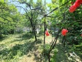 Продава ПАРЦЕЛ, гр. Перник, Клепало, снимка 8