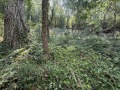 Продава  Парцел град Габрово , Център , 951 кв.м | 69754463 - изображение [8]