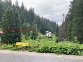 Cselekmény k.k. Pamporovo, régió Smolyan 1