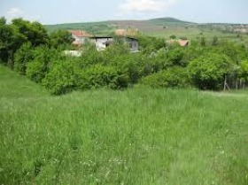 Handlung w.z.Loznizata, Burgas