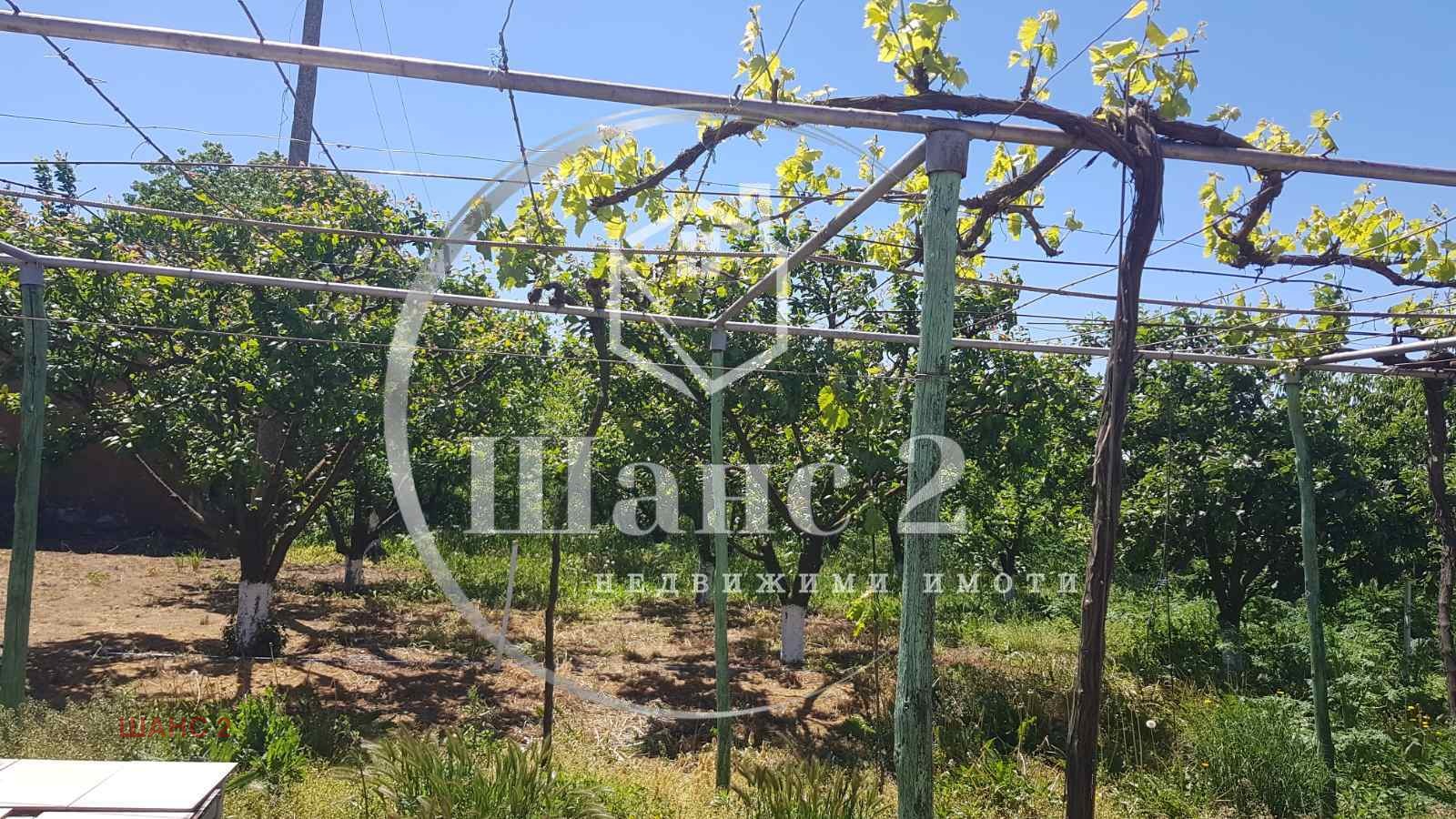 Продава ПАРЦЕЛ, с. Паскалево, област Добрич, снимка 2 - Парцели - 50534853