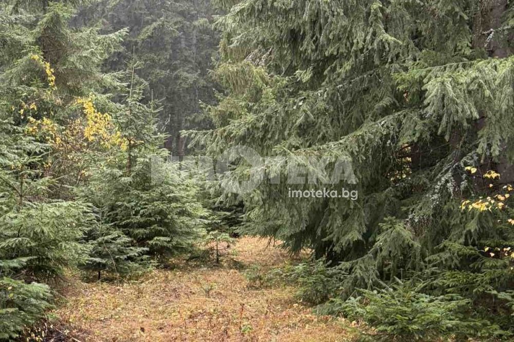 Продава ПАРЦЕЛ, с. Говедарци, област София област, снимка 5 - Парцели - 54915532