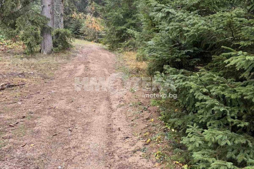 Продава ПАРЦЕЛ, с. Говедарци, област София област, снимка 4 - Парцели - 54915532