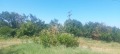 Продава ПАРЦЕЛ, гр. Обзор, област Бургас, снимка 2