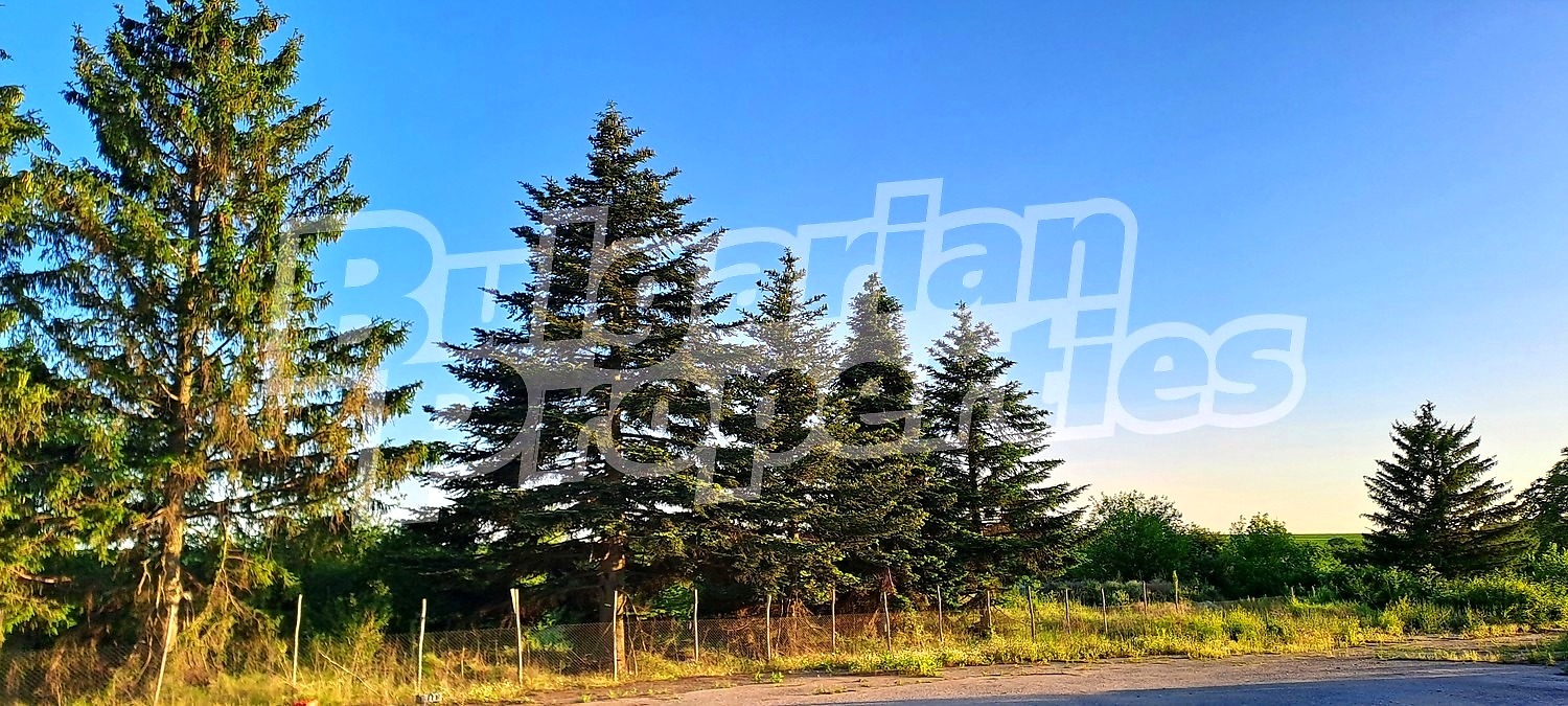 ������� �������/����� | Imot.bg � ����������� 17