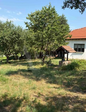 Dom Golemo Buczino, region Pernika