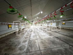 ������� �������/����� | Imot.bg � ����� ������ 12