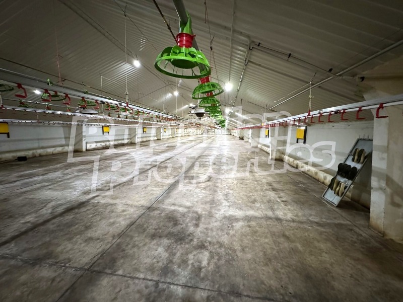 Продава БИЗНЕС ИМОТ, с. Стожер, област Добрич, снимка 14 - Други - 52873742