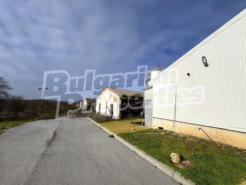 Продава БИЗНЕС ИМОТ, с. Стожер, област Добрич, снимка 8 - Други - 52873742