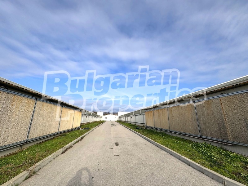 Продава БИЗНЕС ИМОТ, с. Стожер, област Добрич, снимка 10 - Други - 52873742