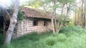 Hus Mlada gvardija, region Varna 1