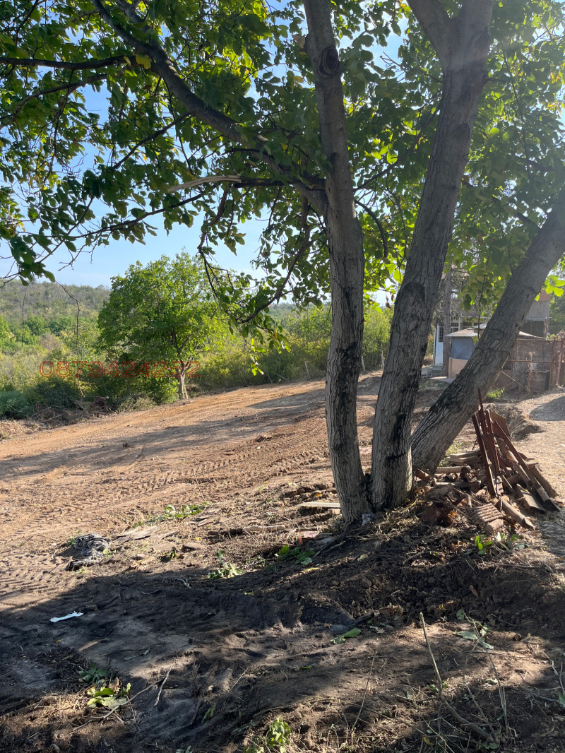 Продава ВИЛА, гр. Плевен, м-т Орлето, снимка 13 - Вили - 52782180