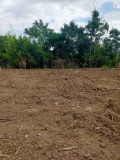 Продава ПАРЦЕЛ, с. Дражево, област Ямбол, снимка 6