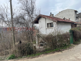 ������ ������� ����