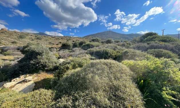 Продава ПАРЦЕЛ | Imot.bg — изображение 16