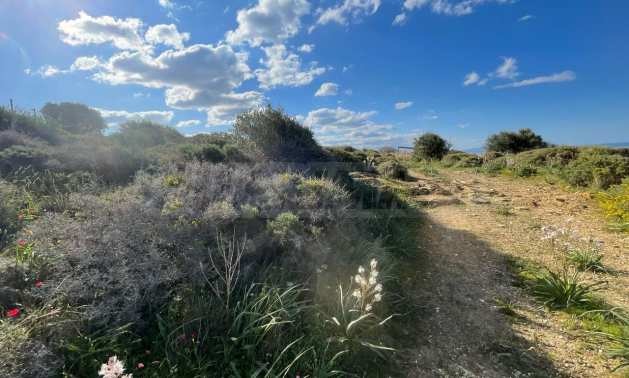 Продава ПАРЦЕЛ | Imot.bg — изображение 12