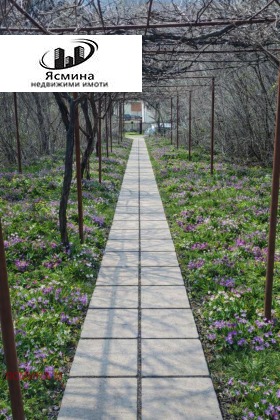 ����� ������� ����,�. ���������, ������ ������